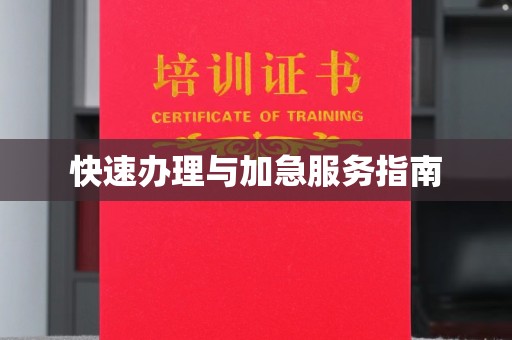 老城快速办理与加急服务指南