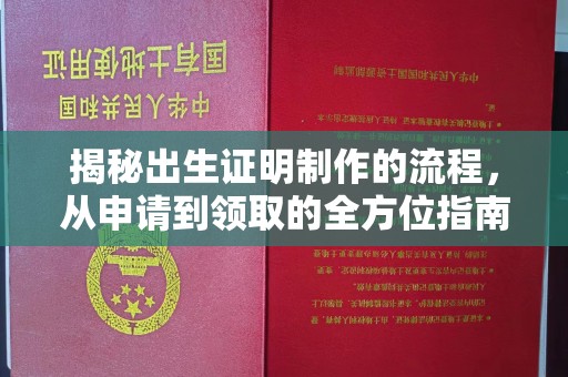 老城揭秘出生证明制作的流程，从申请到领取的全方位指南
