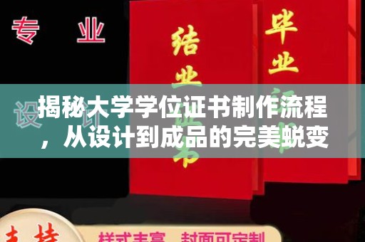 老城揭秘大学学位证书制作流程，从设计到成品的完美蜕变