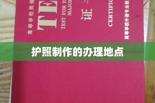 老城护照制作的办理地点