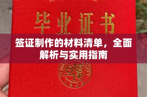老城签证制作的材料清单，全面解析与实用指南
